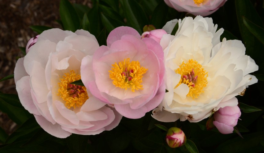 Review – Mike Moats Macro&nbsp;Bootcamp