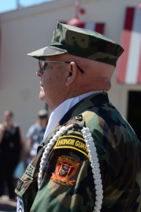 Vietnam veteran at Ypsilanti 4th of July parade, 2014 