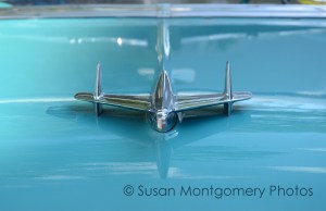 01_Montgomery_light_blue_hood