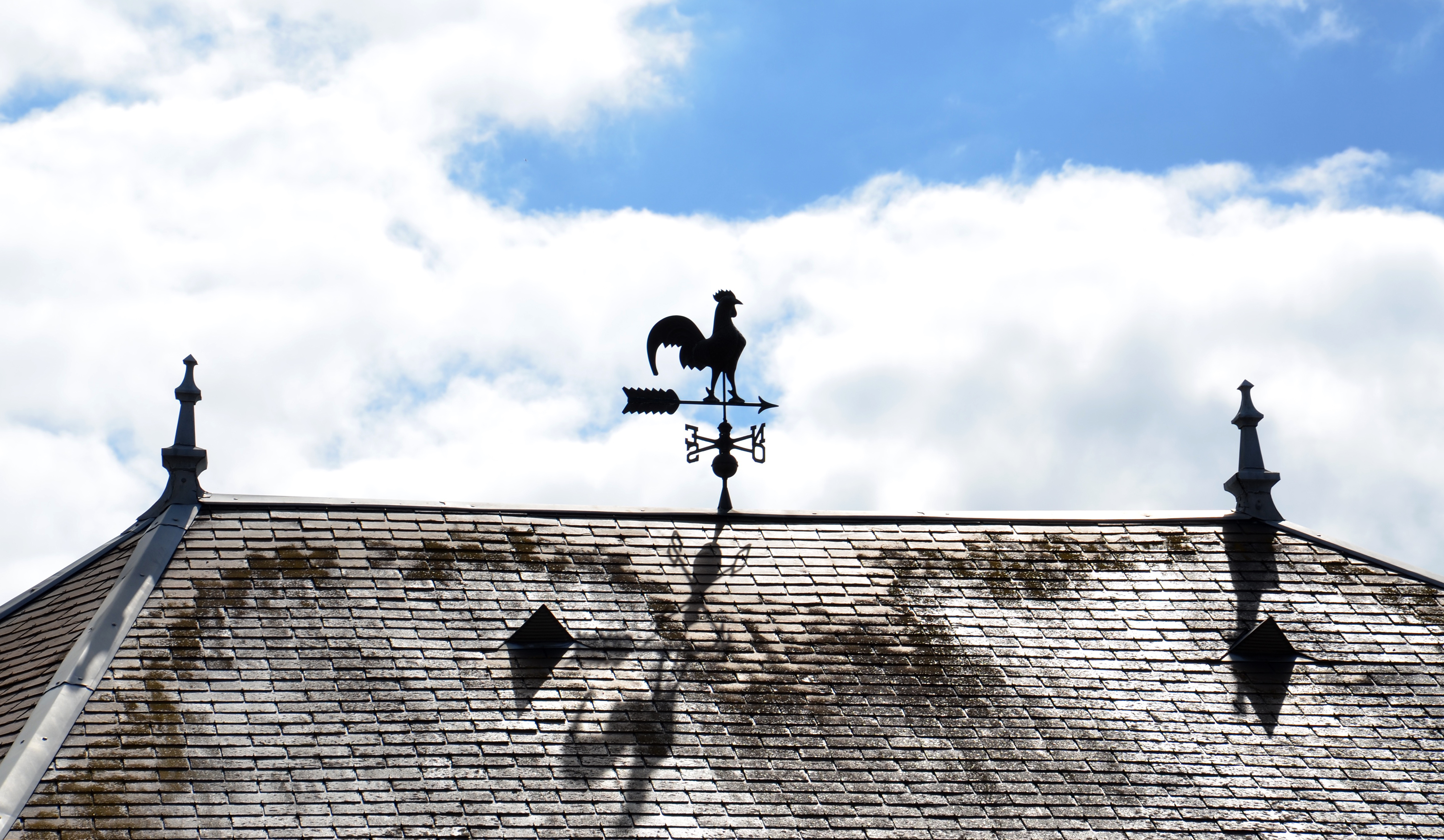 Weathervane in Vernon, France